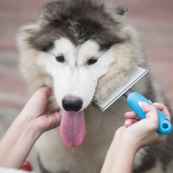 Meet your Posher, Ralph - Picture 1 of 1